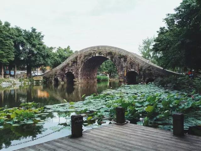 海燕论坛