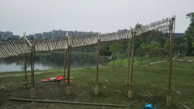 海燕论坛