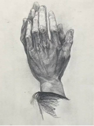 海燕论坛